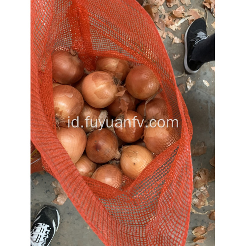 Bawang kuning segar dijual